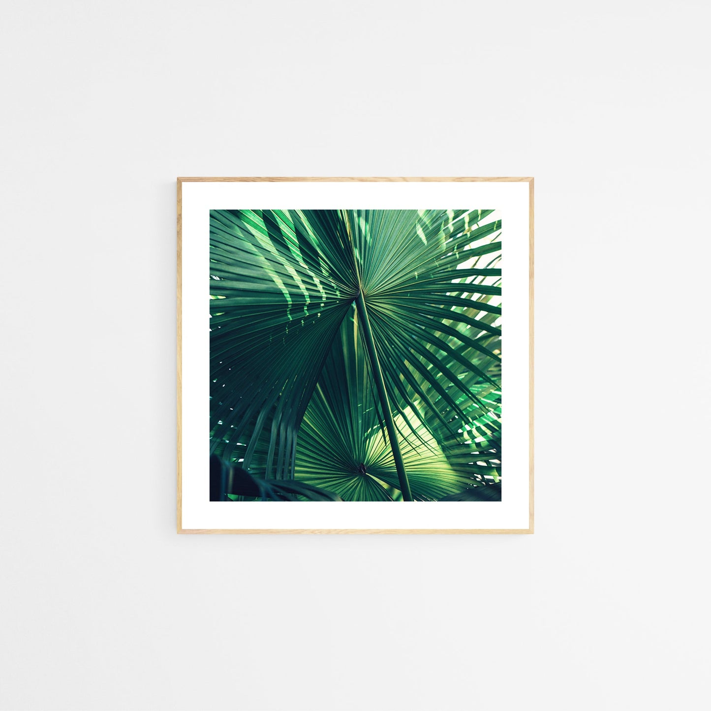 Modern Fine Art Photograph - Everything Was Green #1