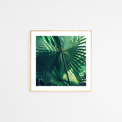 Modern Fine Art Photograph - Everything Was Green #1
