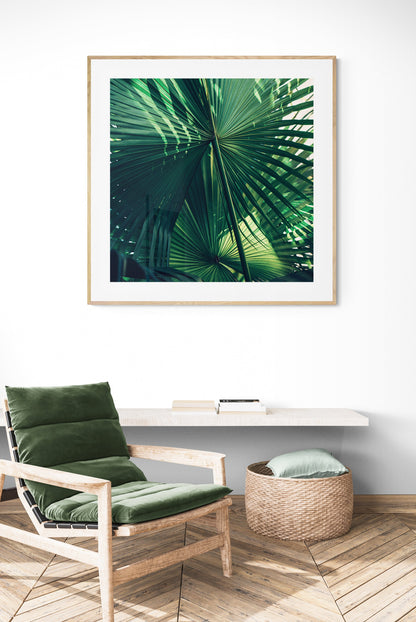 Modern Fine Art Photograph - Everything Was Green #1