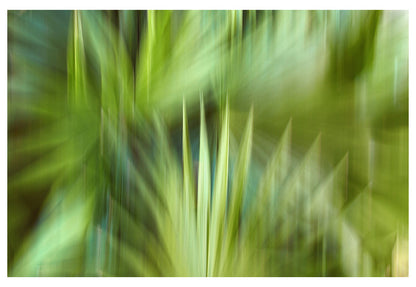 Modern Fine Art Abstract Photograph - In A Moment
