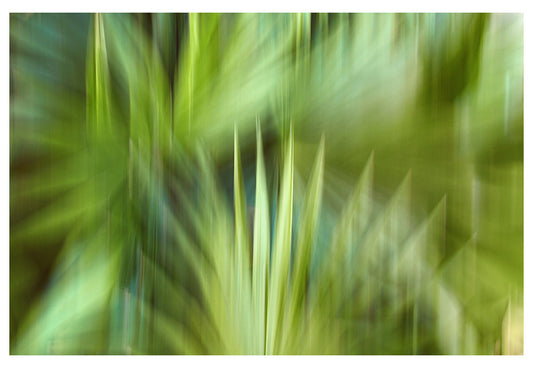 Modern Fine Art Abstract Photograph - In A Moment