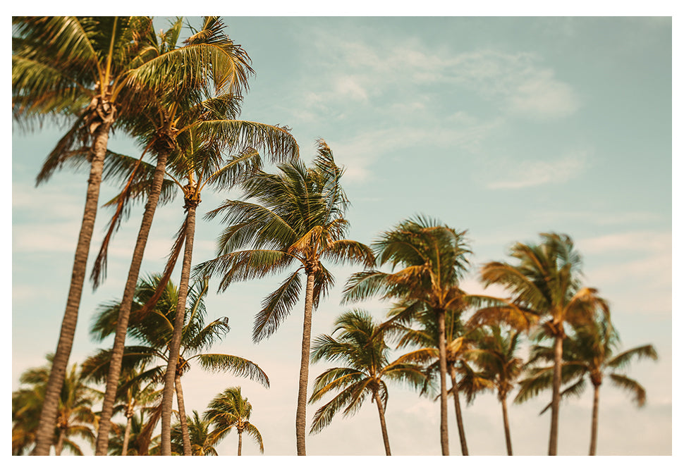 Miami Breeze - Fine Art Photograph