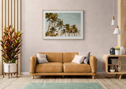 Miami Breeze - Fine Art Photograph
