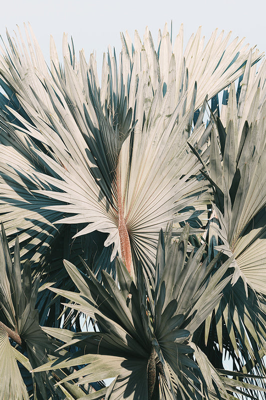 Modern Fine Art Photograph - This I Know