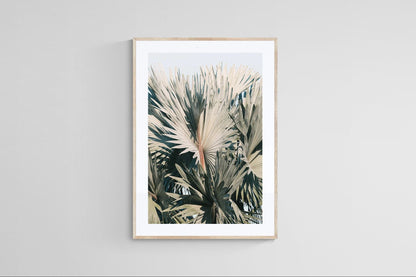 Modern Fine Art Photograph - This I Know