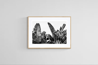 Modern Fine Art Photograph - Silver Skies #2
