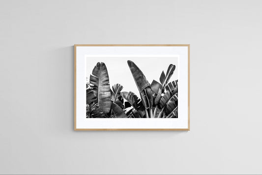 Modern Fine Art Photograph - Silver Skies #2